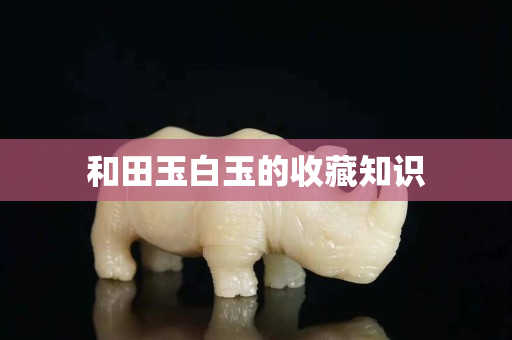 和田玉白玉的收藏知识