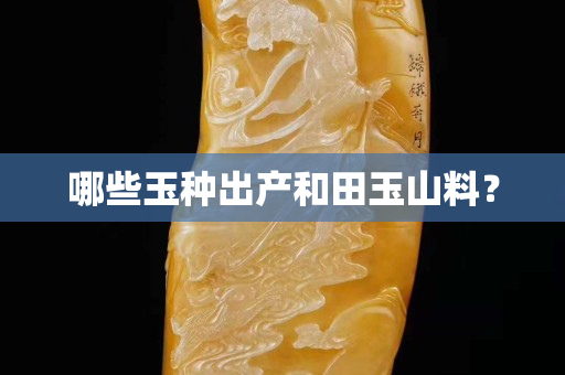 哪些玉种出产和田玉山料？