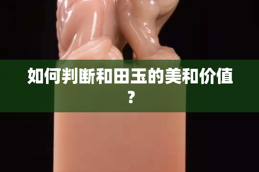 如何判断和田玉的美和价值？