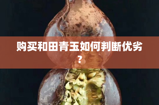 购买和田青玉如何判断优劣?