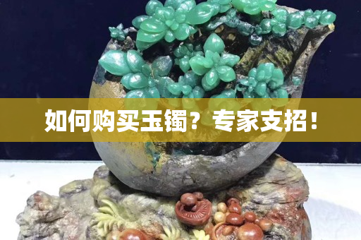 如何购买玉镯？专家支招！