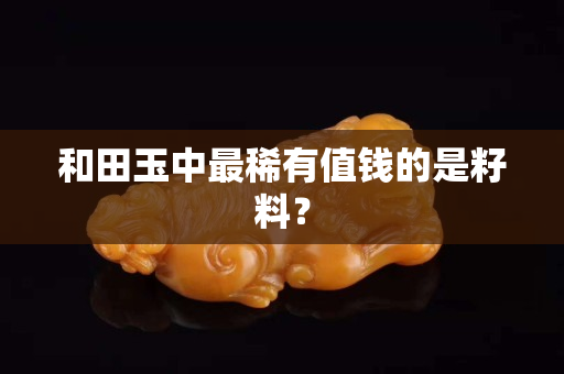 和田玉中最稀有值钱的是籽料？