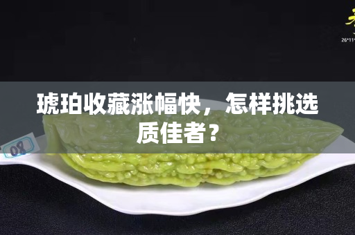 琥珀收藏涨幅快，怎样挑选质佳者？