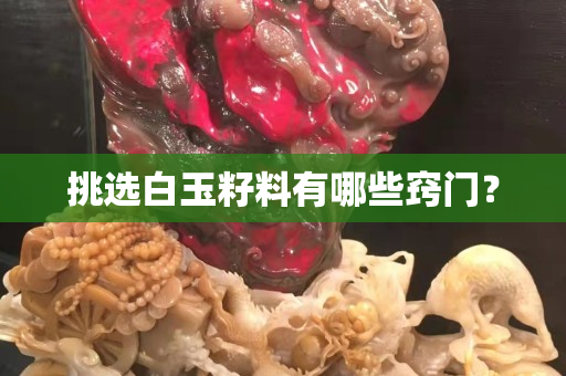 挑选白玉籽料有哪些窍门？