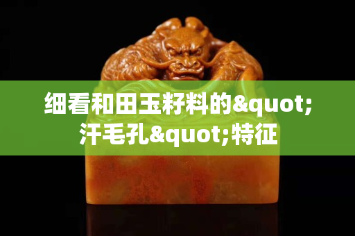 细看和田玉籽料的"汗毛孔"特征