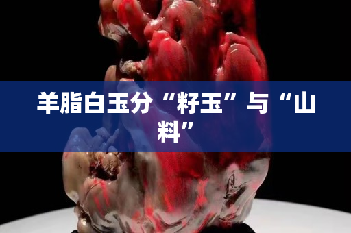 羊脂白玉分“籽玉”与“山料”