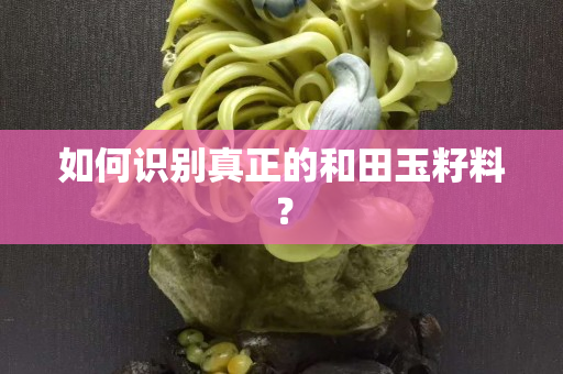 如何识别真正的和田玉籽料？