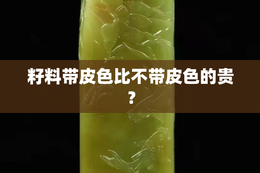 籽料带皮色比不带皮色的贵？