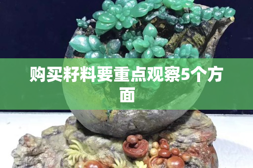 购买籽料要重点观察5个方面