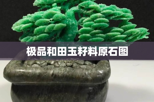 极品和田玉籽料原石图
