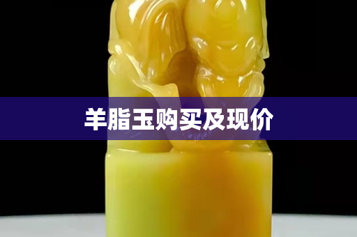 羊脂玉购买及现价