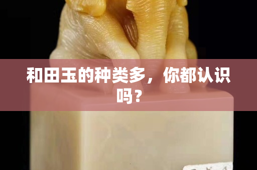 和田玉的种类多，你都认识吗？