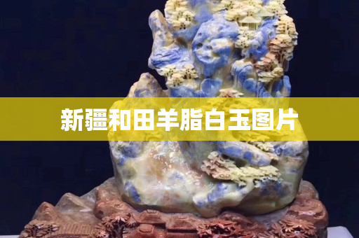 新疆和田羊脂白玉图片