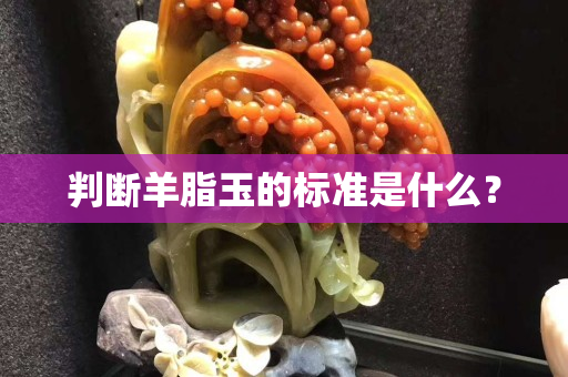判断羊脂玉的标准是什么？