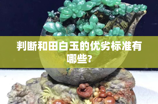 判断和田白玉的优劣标准有哪些?