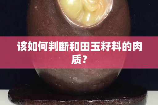 该如何判断和田玉籽料的肉质？