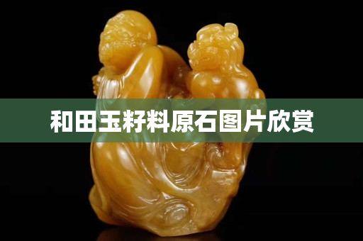 和田玉籽料原石图片欣赏
