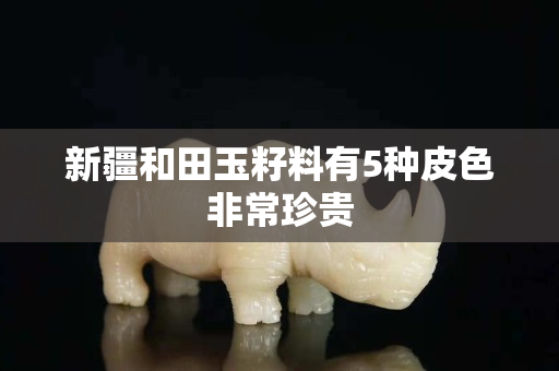 新疆和田玉籽料有5种皮色非常珍贵