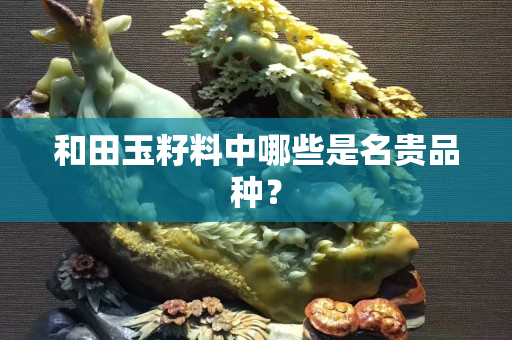 和田玉籽料中哪些是名贵品种？