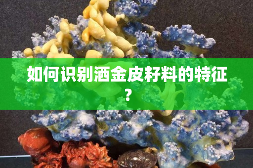 如何识别洒金皮籽料的特征？
