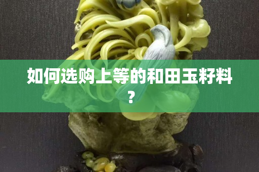 如何选购上等的和田玉籽料？