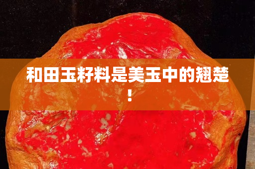 和田玉籽料是美玉中的翘楚！