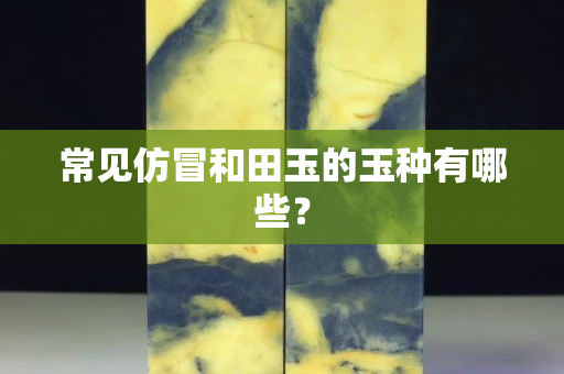 常见仿冒和田玉的玉种有哪些？