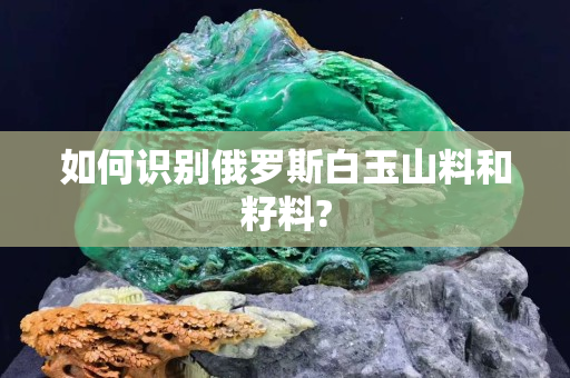 如何识别俄罗斯白玉山料和籽料?