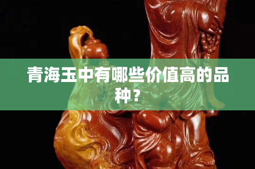 青海玉中有哪些价值高的品种？