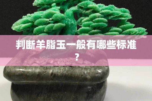 判断羊脂玉一般有哪些标准？