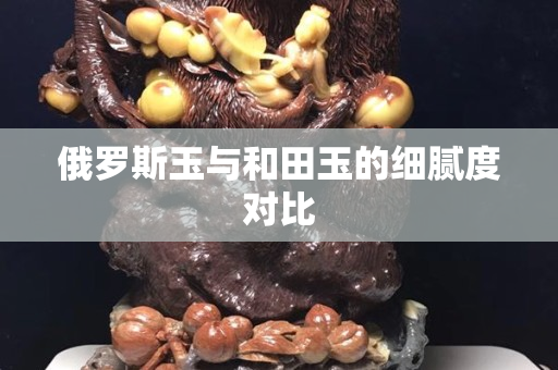 俄罗斯玉与和田玉的细腻度对比