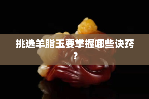 挑选羊脂玉要掌握哪些诀窍？
