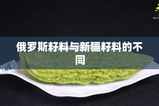 俄罗斯籽料与新疆籽料的不同