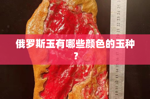 俄罗斯玉有哪些颜色的玉种？