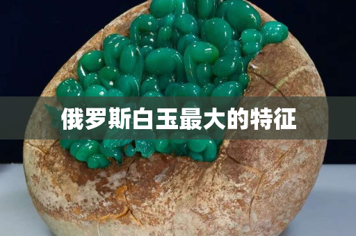 俄罗斯白玉最大的特征