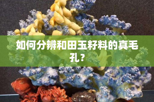 如何分辨和田玉籽料的真毛孔？