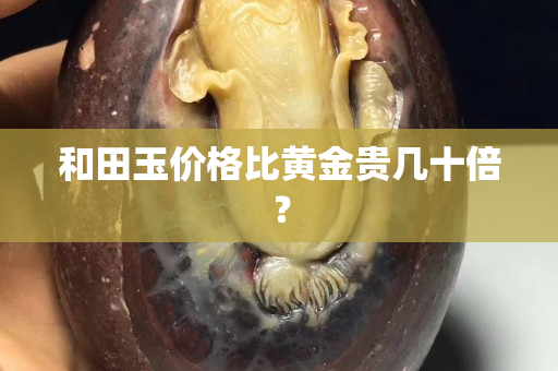 和田玉价格比黄金贵几十倍？