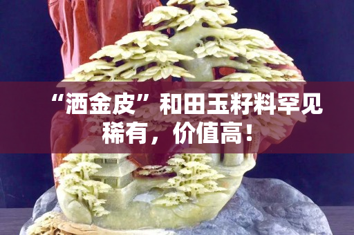 “洒金皮”和田玉籽料罕见稀有，价值高！