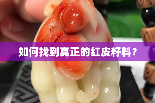 如何找到真正的红皮籽料？