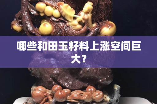 哪些和田玉籽料上涨空间巨大？