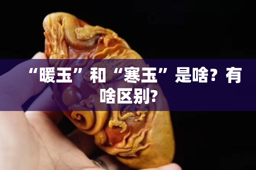 “暖玉”和“寒玉”是啥？有啥区别?