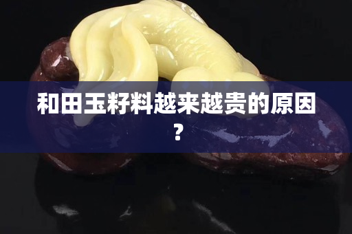 和田玉籽料越来越贵的原因？