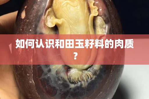 如何认识和田玉籽料的肉质？