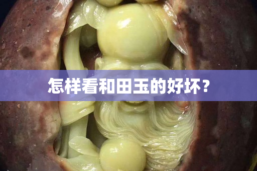 怎样看和田玉的好坏？