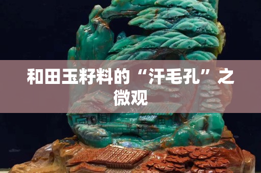 和田玉籽料的“汗毛孔”之微观