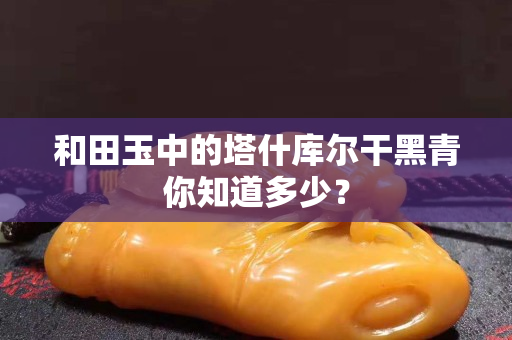 和田玉中的塔什库尔干黑青你知道多少？