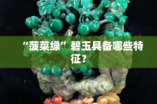 “菠菜绿”碧玉具备哪些特征？