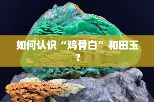如何认识“鸡骨白”和田玉？