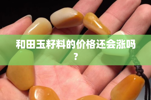 和田玉籽料的价格还会涨吗?