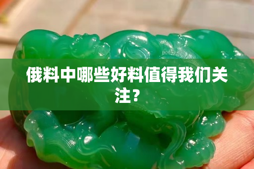 俄料中哪些好料值得我们关注？